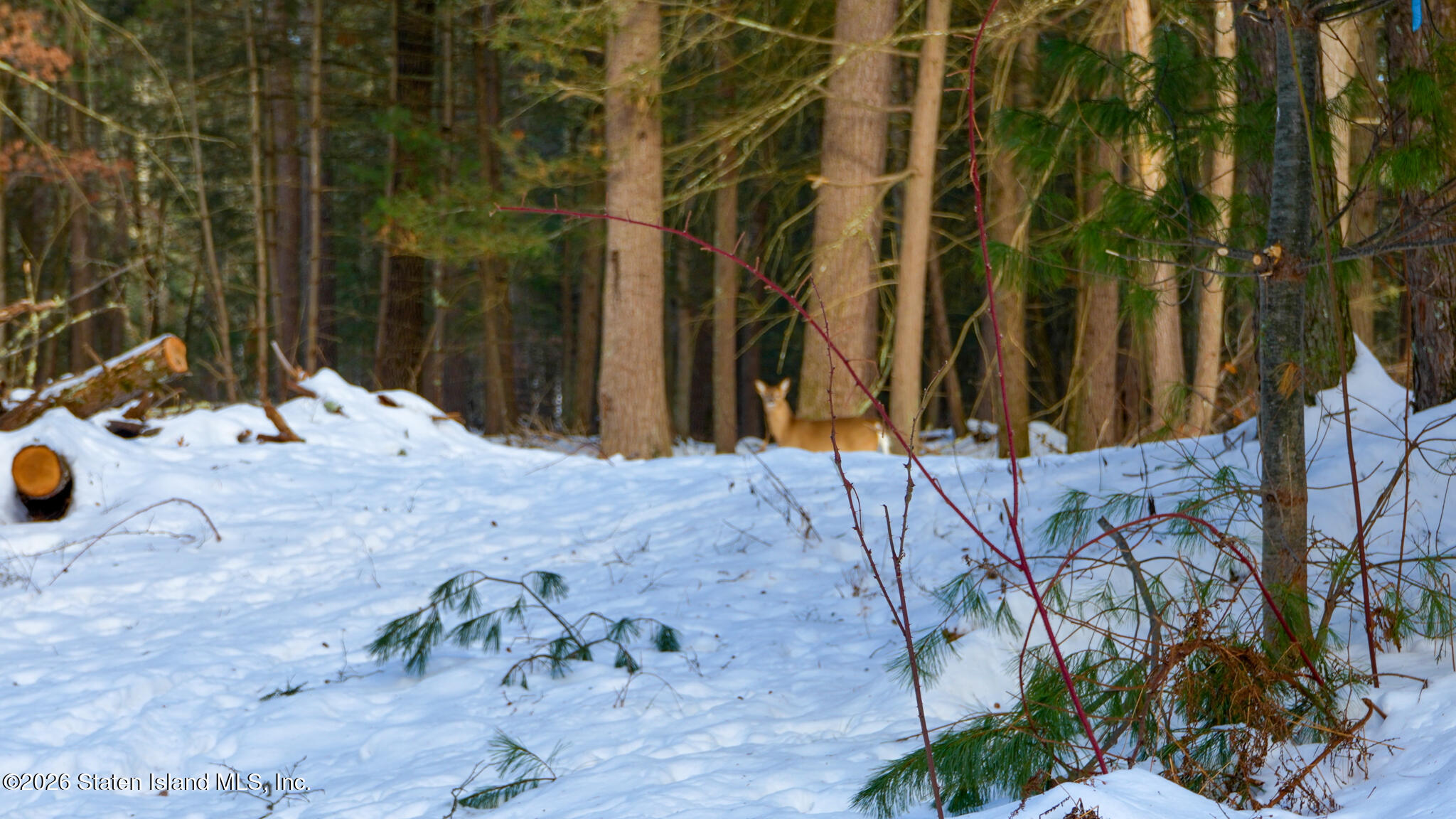 0 Eagles Nest Road Hurley, NY 12443 - Photo 11 of 15 a view of a backyard of the house