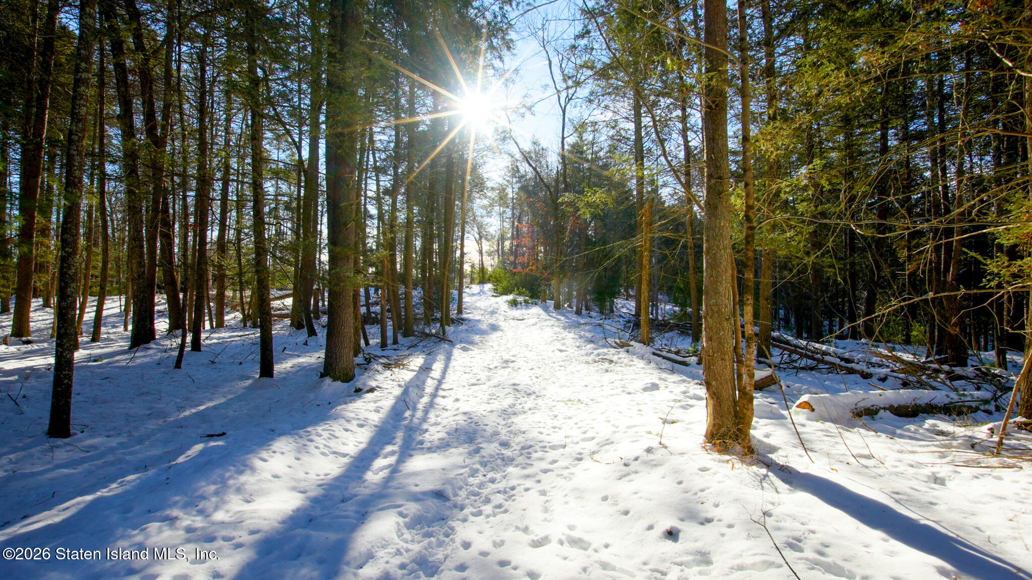 0 Eagles Nest Road Hurley, NY 12443 - Photo 10 of 15 a view of a yard with large trees