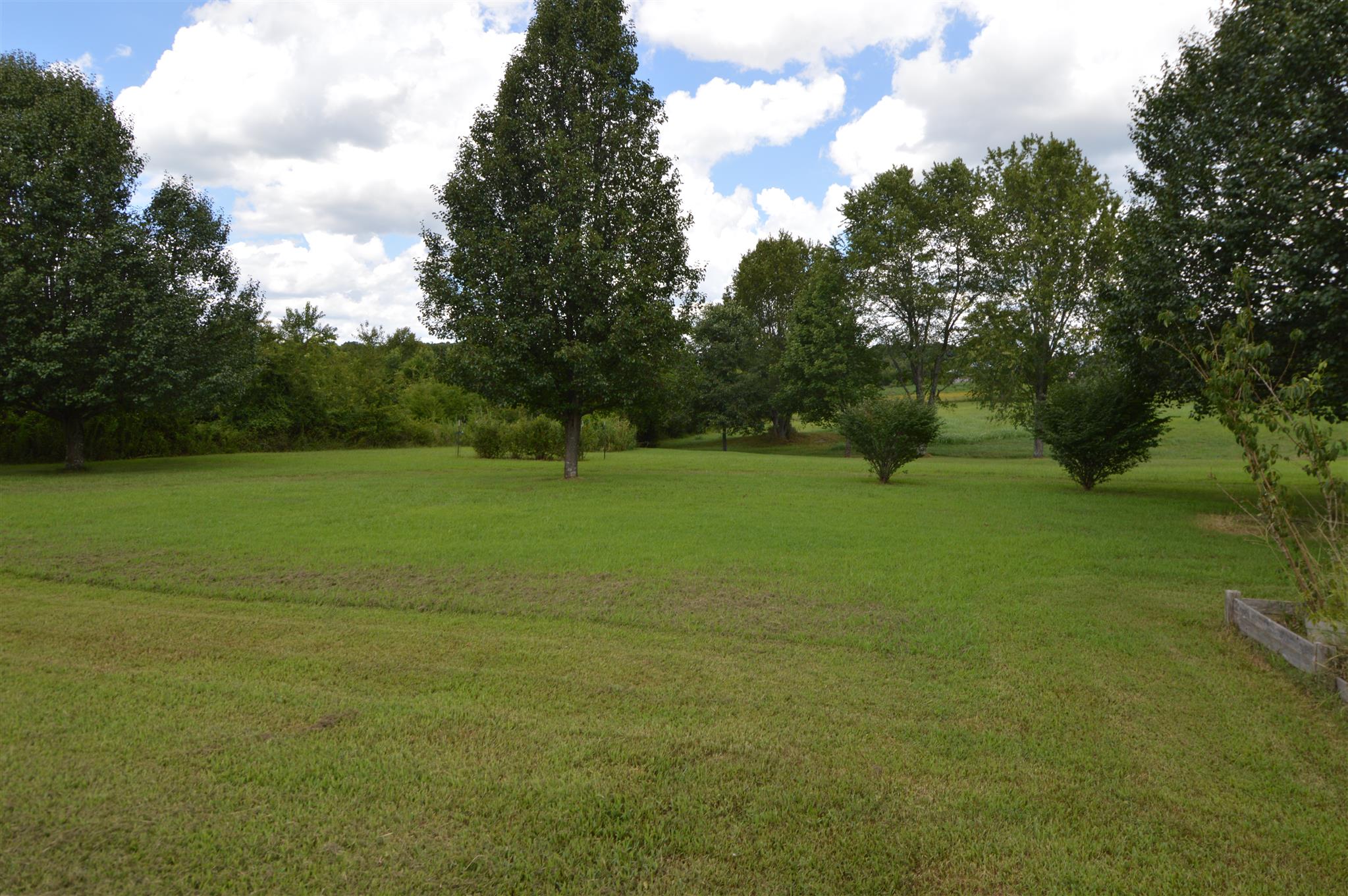 4579 Beech Log Road Lebanon, TN 37090 - Photo 29 of 30 a view of a field with a trees in the background
