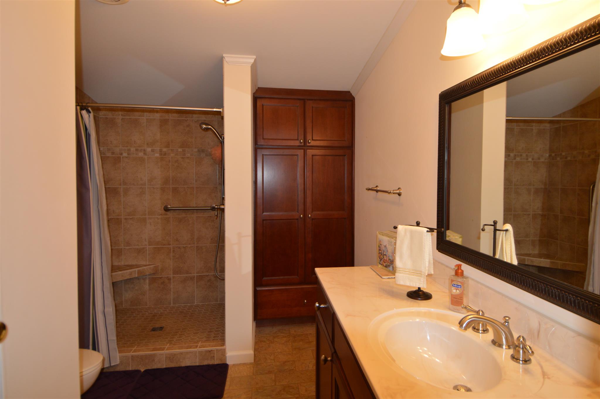 4579 Beech Log Road Lebanon, TN 37090 - Photo 9 of 30 a bathroom with a sink and a mirror