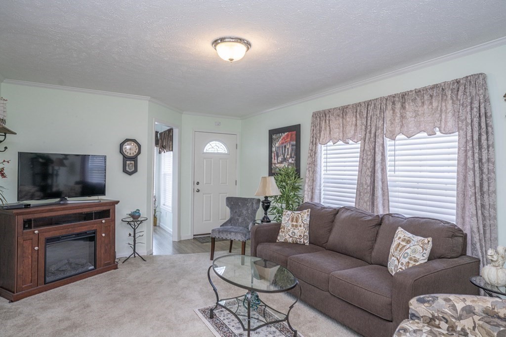 18 Linsay Drive Raynham, MA 02767 - Photo 14 of 41 a living room with furniture a fireplace and a flat screen tv