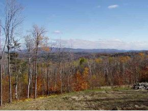 44 Highwood Road Winhall, VT 05340 - Photo 3 of 3