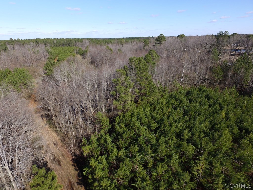 3586 Allen Road Jarratt, VA 23867 - Photo 9 of 39 Gallery Image 9