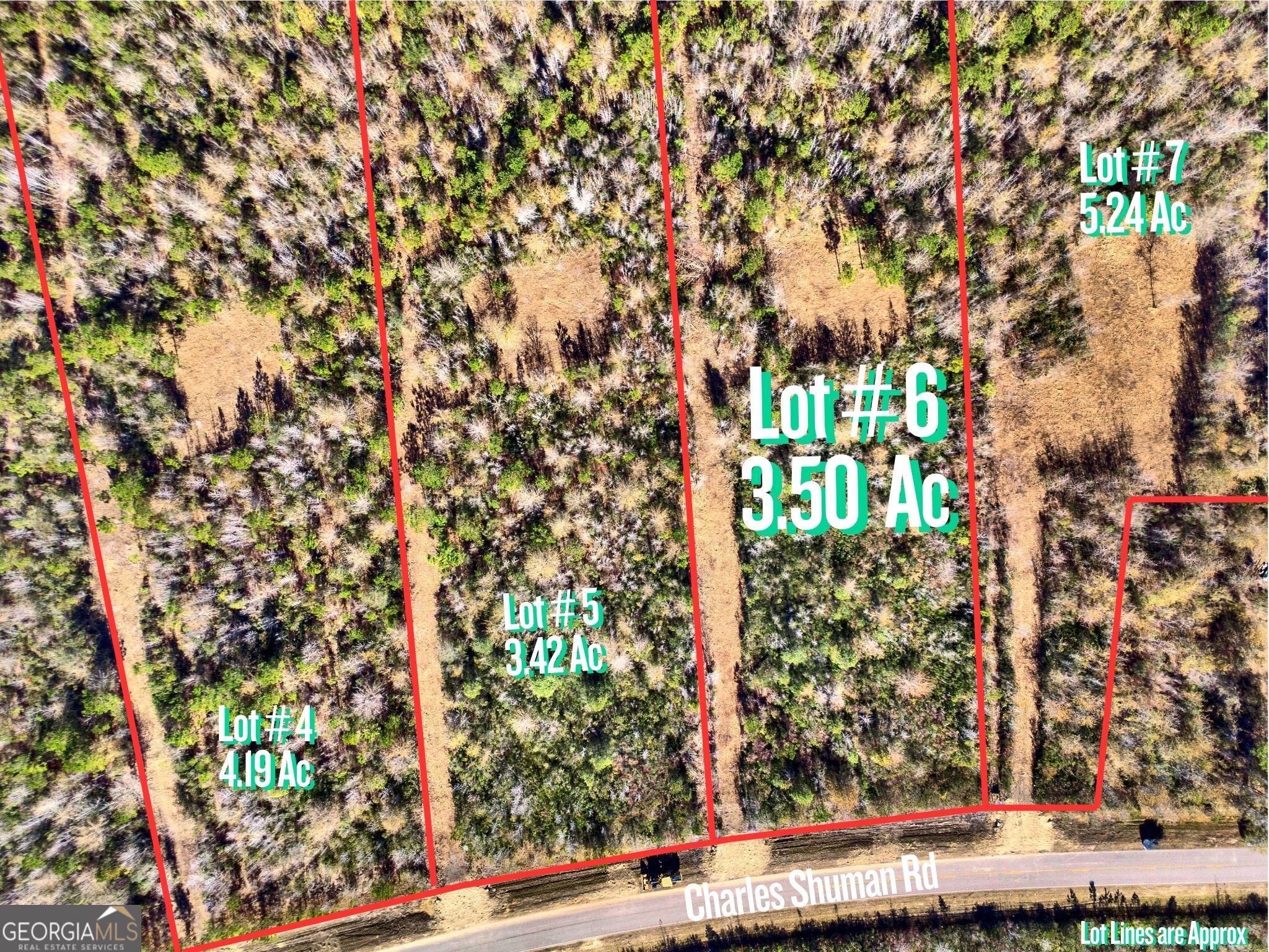 Lot 6 Charles Shuman Road Pembroke, GA 31321 - Photo 2 of 8