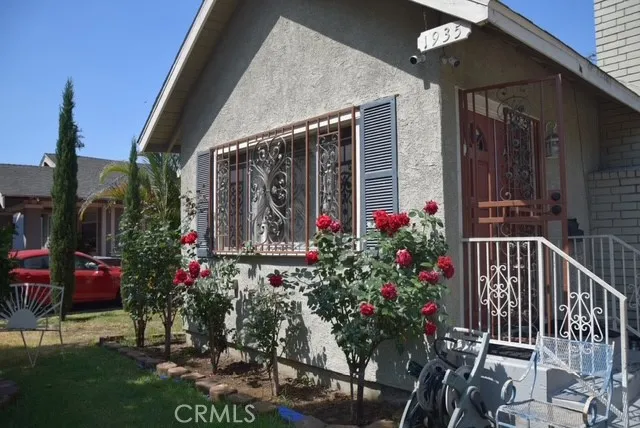 a view of small garden in the patio