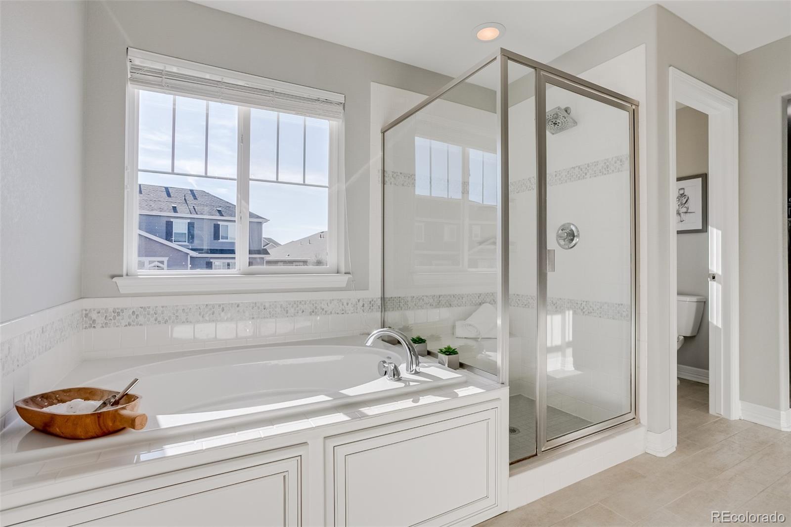 3007 Rising Moon Way Castle Rock, CO 80109 - Photo 23 of 40 Gallery Image 23