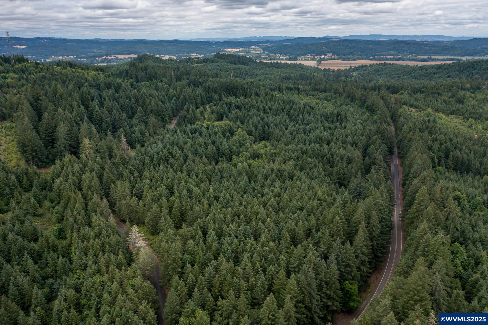 Mctimmonds Road Dallas, OR 97338 - Photo 4 of 20