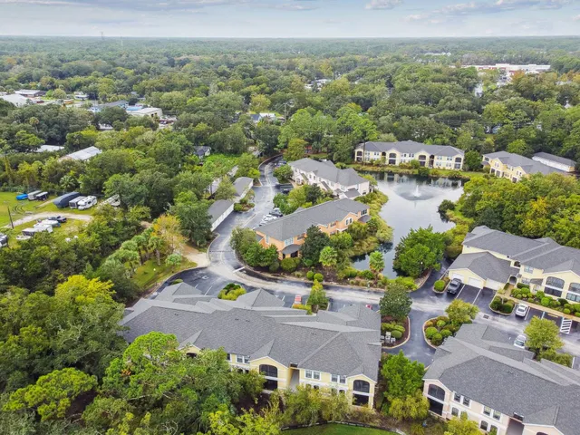 a view of a garden with plants and large trees