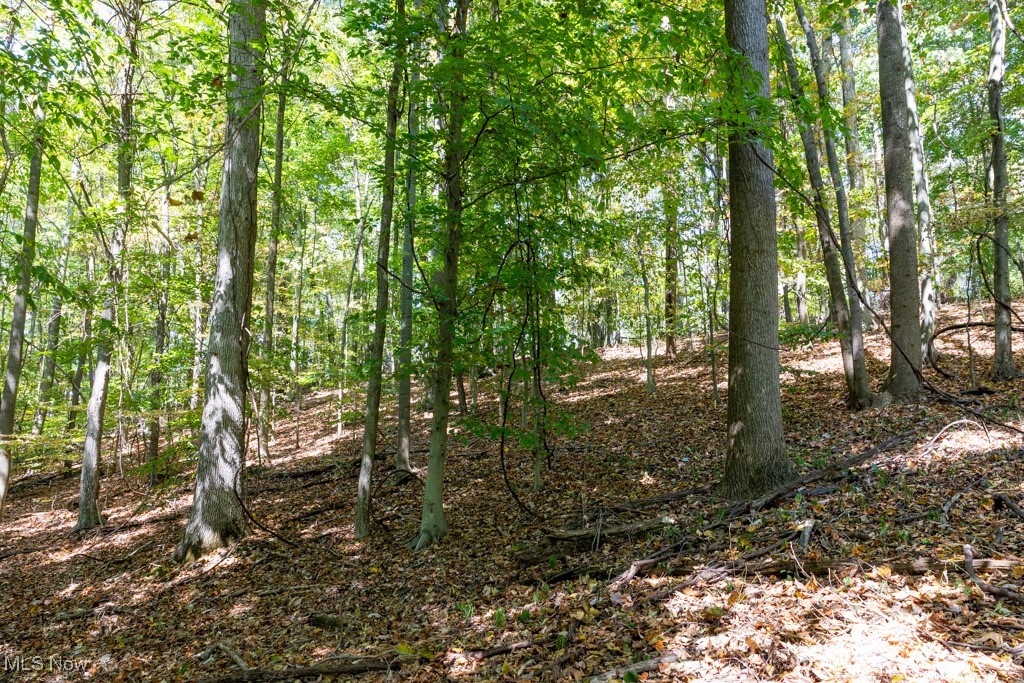7281 Crowder Road Southwest Sherrodsville, OH 44675 - Photo 31 of 36 View of landscape
