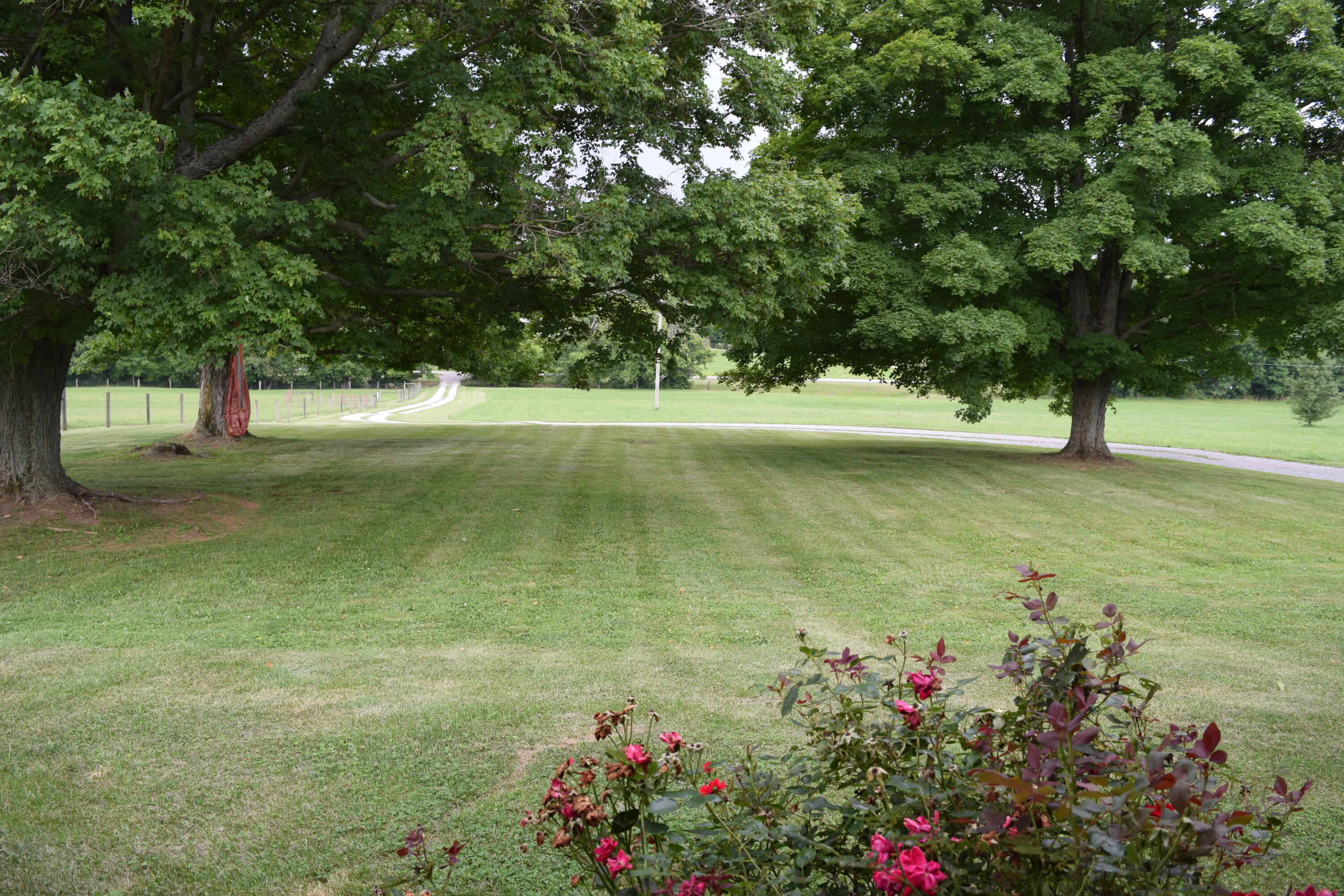 760 Locust Fork Road Stamping Ground, KY 40379 - Photo 23 of 39 DSC_0818