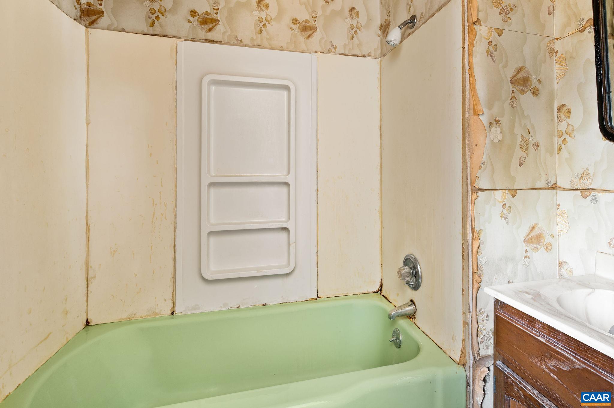 202 Hartmans Mill Road Charlottesville, VA 22902 - Photo 18 of 27 a bathroom with a tub and a shower