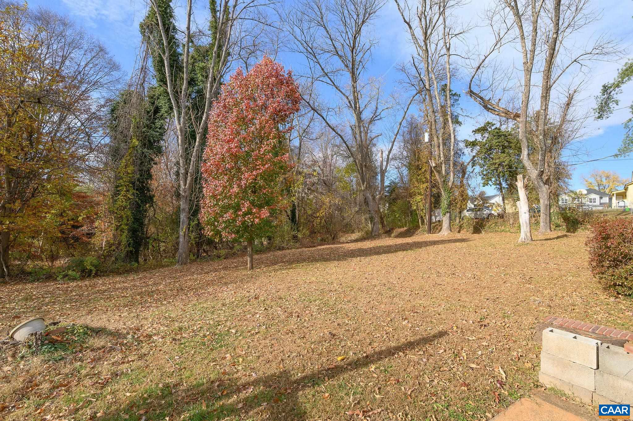 202 Hartmans Mill Road Charlottesville, VA 22902 - Photo 24 of 27 a view of empty space and covered with snow in front of house
