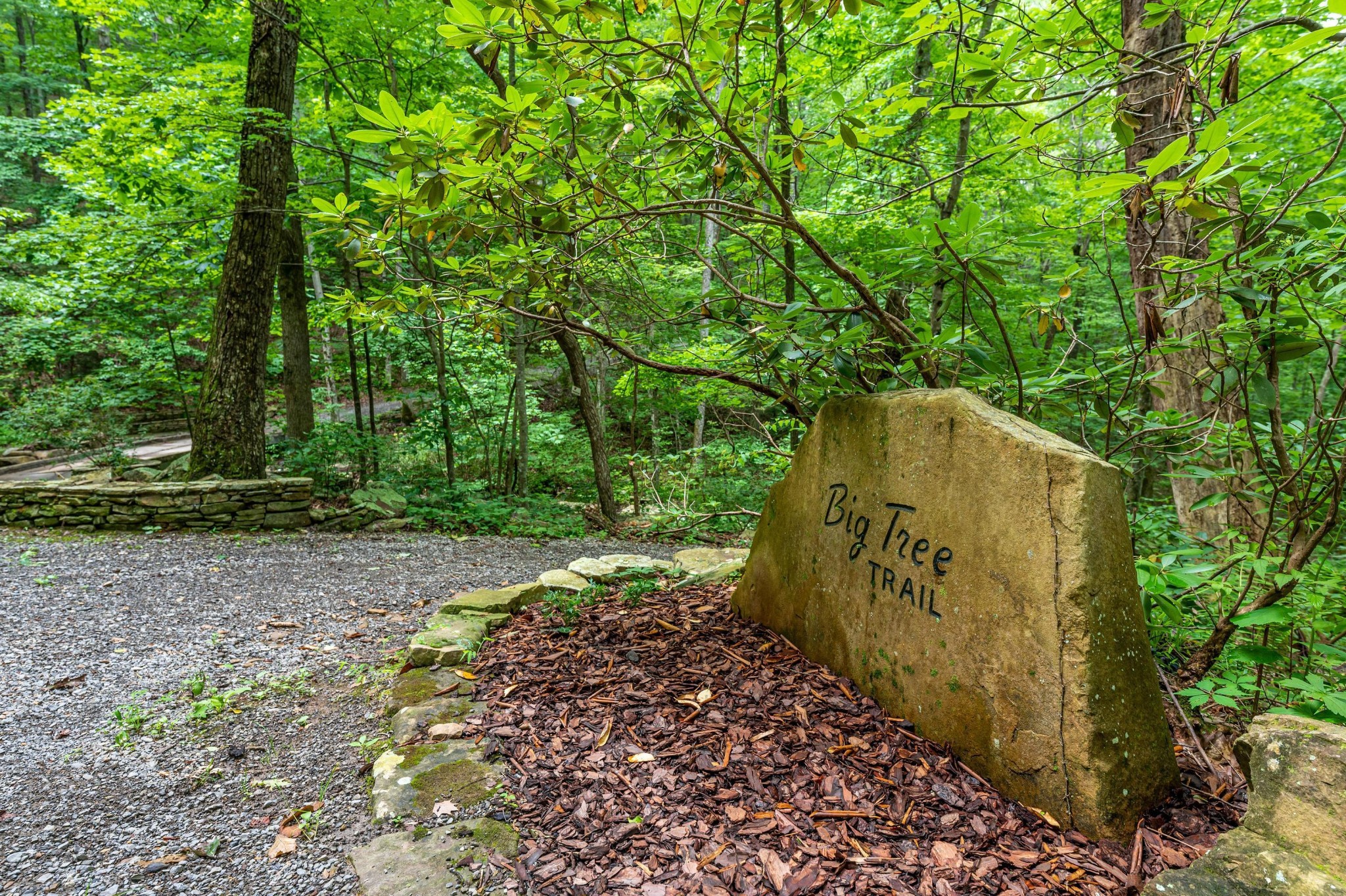 0 Tall Tree Trail Dunlap, TN 37327 - Photo 21 of 22 Gallery Image 21