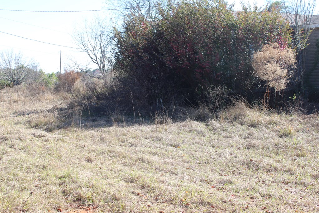 198-230 Bonner Road Newton, AL 36352 - Photo 12 of 15 Gallery Image 12