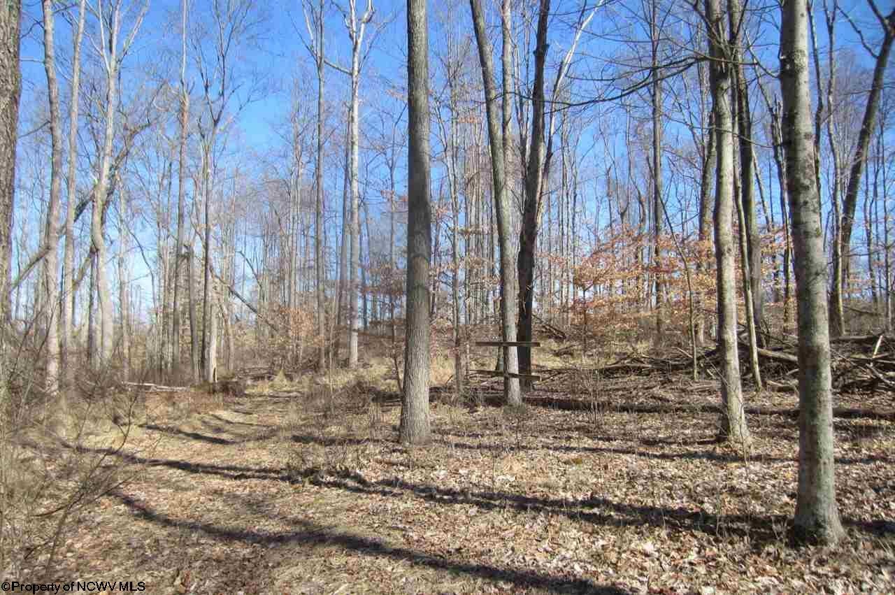 Tbd Sandy Holw Road Bridgeport, WV 26330 - Photo 6 of 20 Gallery Image 6