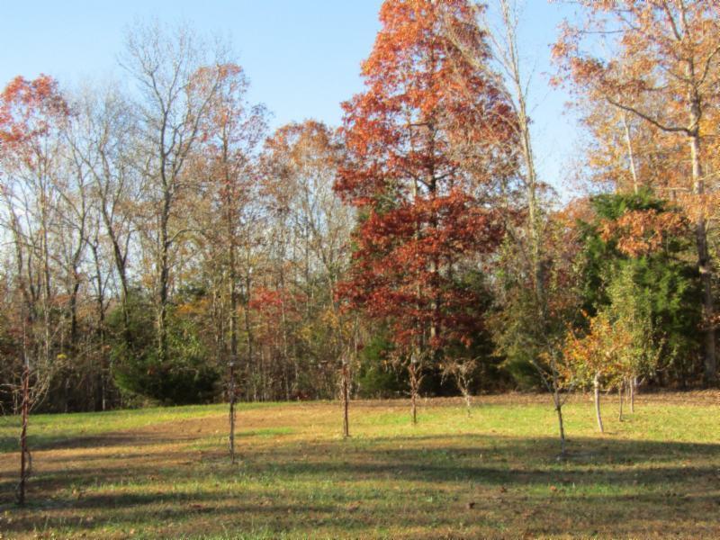 692 Weber Road Celina, TN 38551 - Photo 34 of 40 FRUIT ORCHARD