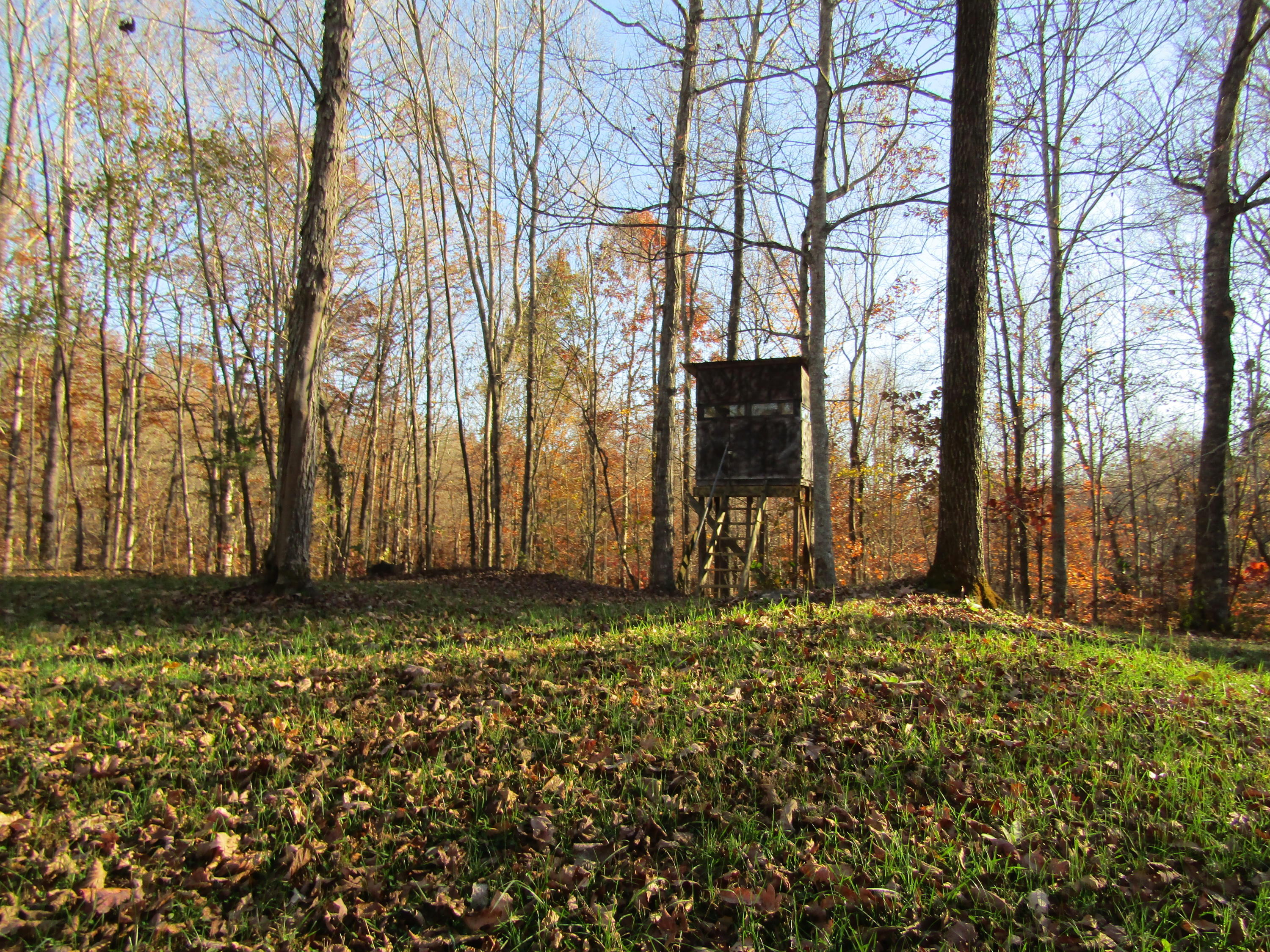 692 Weber Road Celina, TN 38551 - Photo 36 of 40 IMG_0273 - Copy