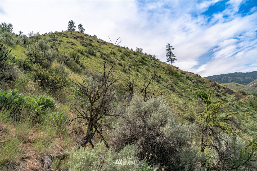 0 Number 2 Canyon Road Wenatchee, WA 98802 - Photo 11 of 13 Gallery Image 11