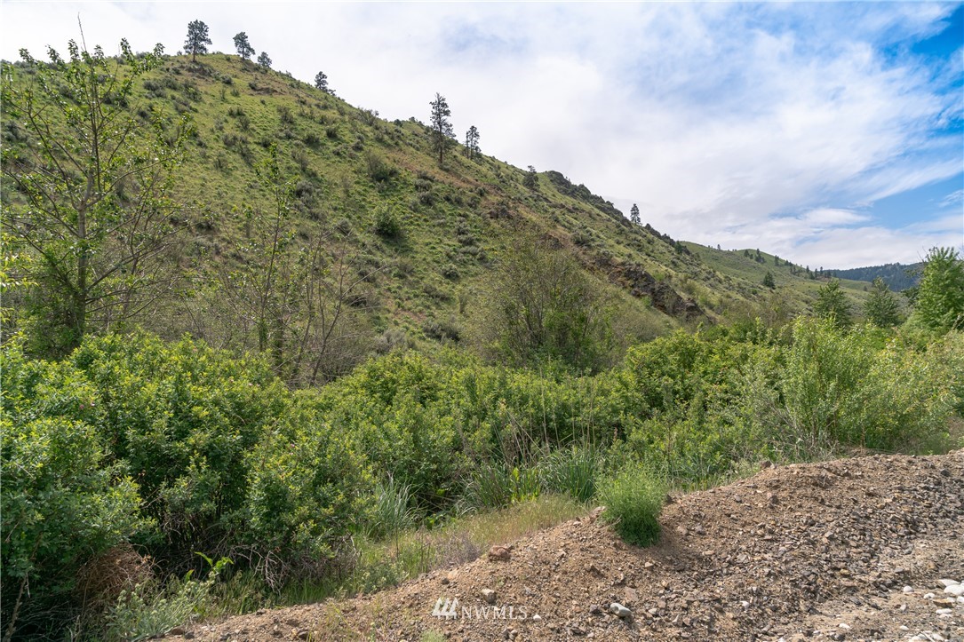 0 Number 2 Canyon Road Wenatchee, WA 98802 - Photo 12 of 13 Gallery Image 12
