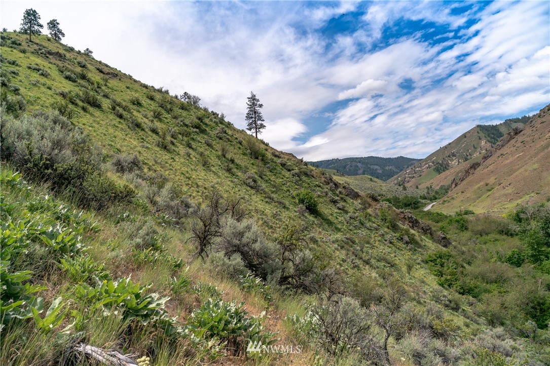 0 Number 2 Canyon Road Wenatchee, WA 98802 - Photo 8 of 13 Gallery Image 8