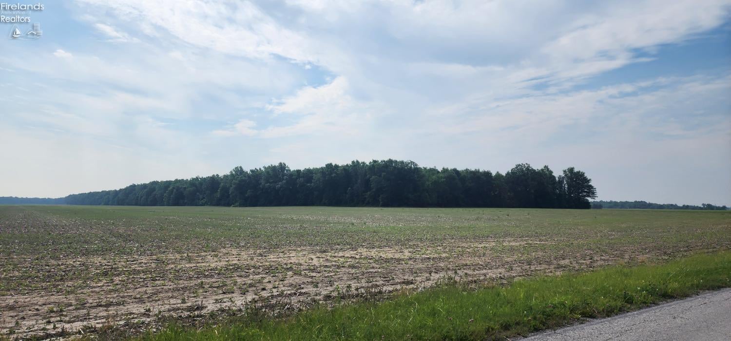 0 East Co Road Republic, OH 44867 - Photo 8 of 10 Gallery Image 8