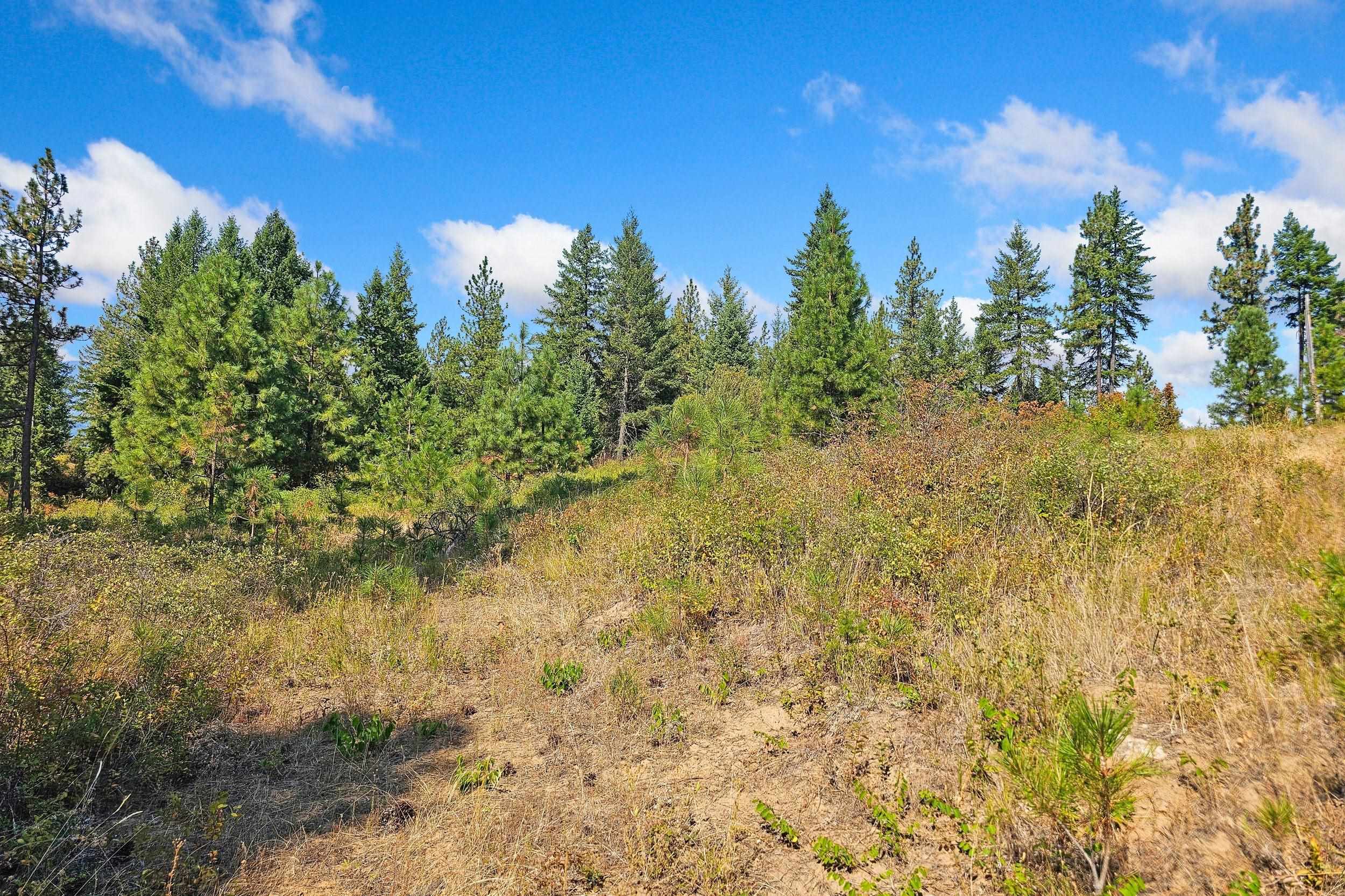 Nka Hoag Road Valley, WA 99181 - Photo 16 of 35 Gallery Image 16