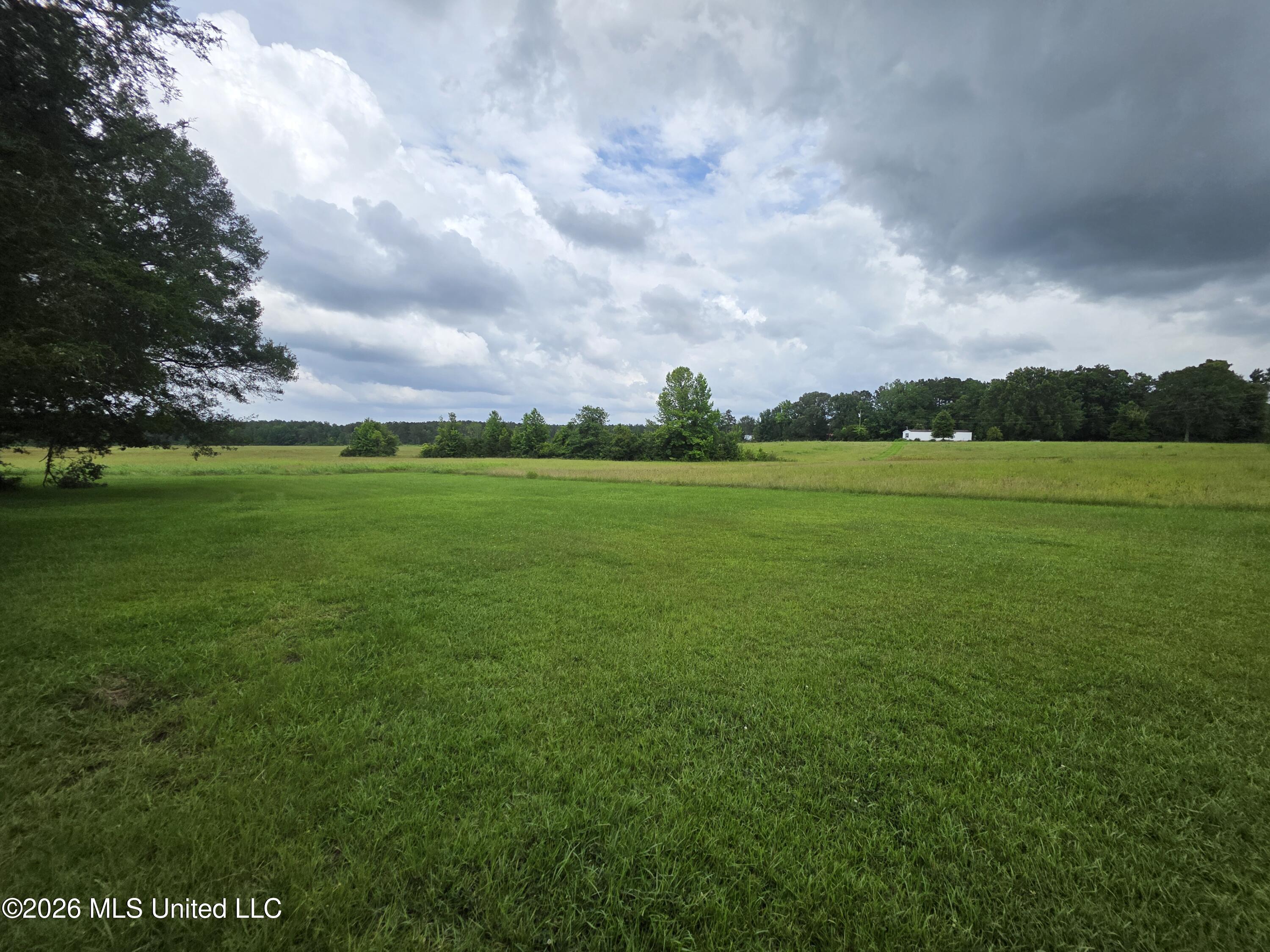 244 Foster Road Sontag, MS 39665 - Photo 32 of 105 35738