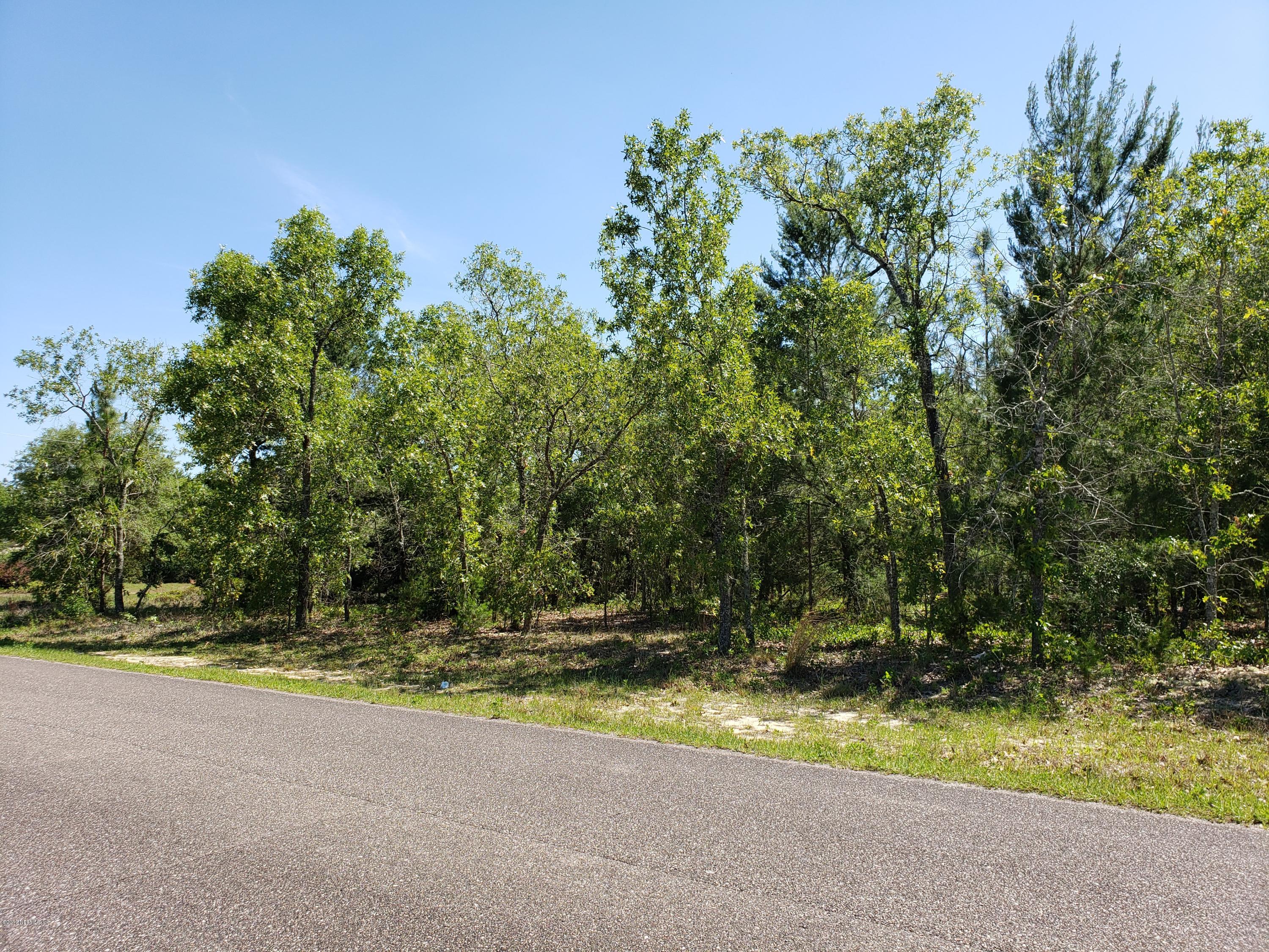 0 Little Rain Lake Road Keystone Heights, FL 32656 - Photo 2 of 6 a view of tree and yard