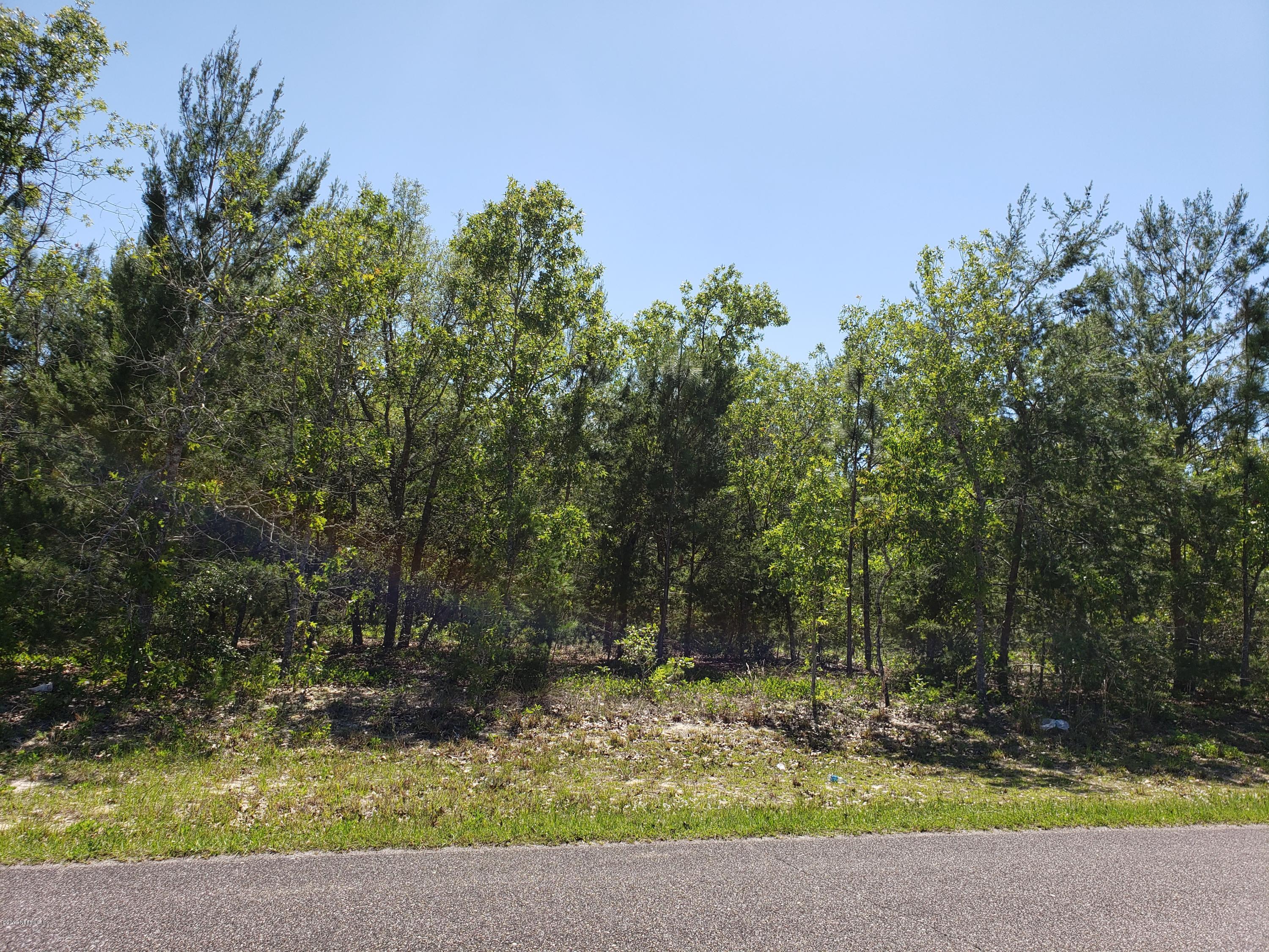 0 Little Rain Lake Road Keystone Heights, FL 32656 - Photo 3 of 6 a view of a yard with plants
