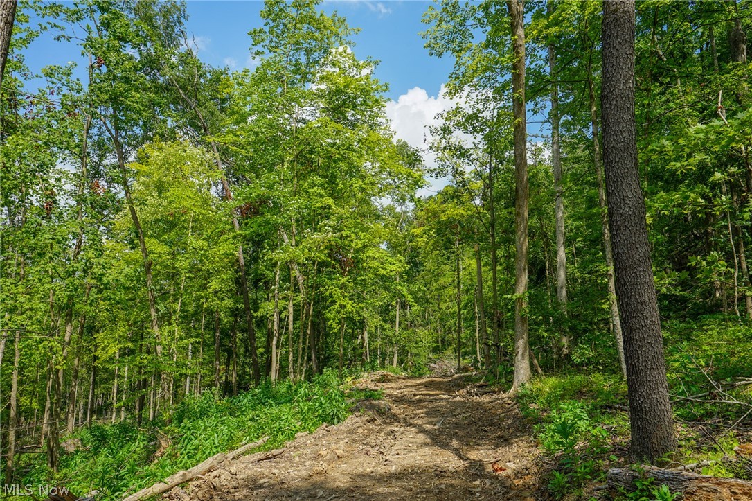 Featherstone Road Stewart, OH 45778 - Photo 21 of 35