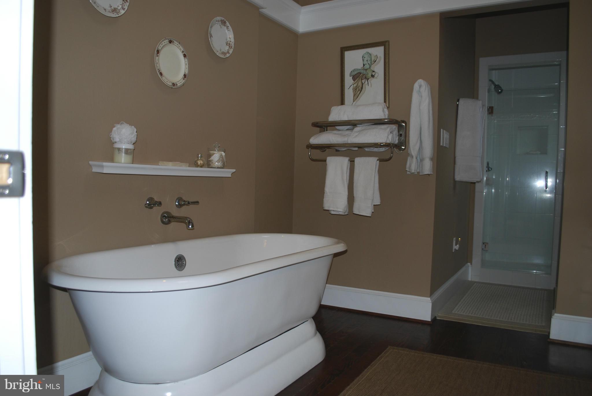 14280 Hume Road Hume, VA 22639 - Photo 12 of 23 Bath (Master)