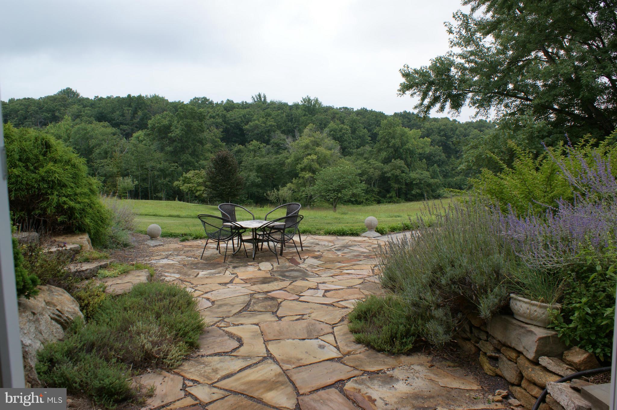 14280 Hume Road Hume, VA 22639 - Photo 17 of 23 Exterior (Rear)