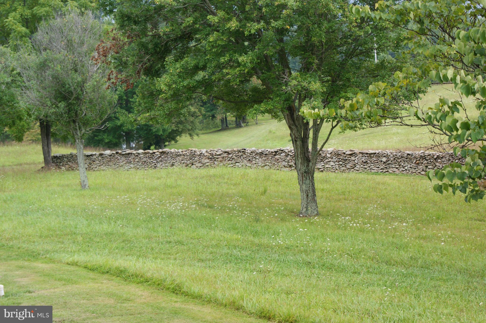 14280 Hume Road Hume, VA 22639 - Photo 20 of 23 Exterior (Rear)