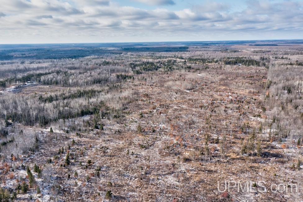 Jimtown Road Stephenson, MI 49887 - Photo 12 of 16