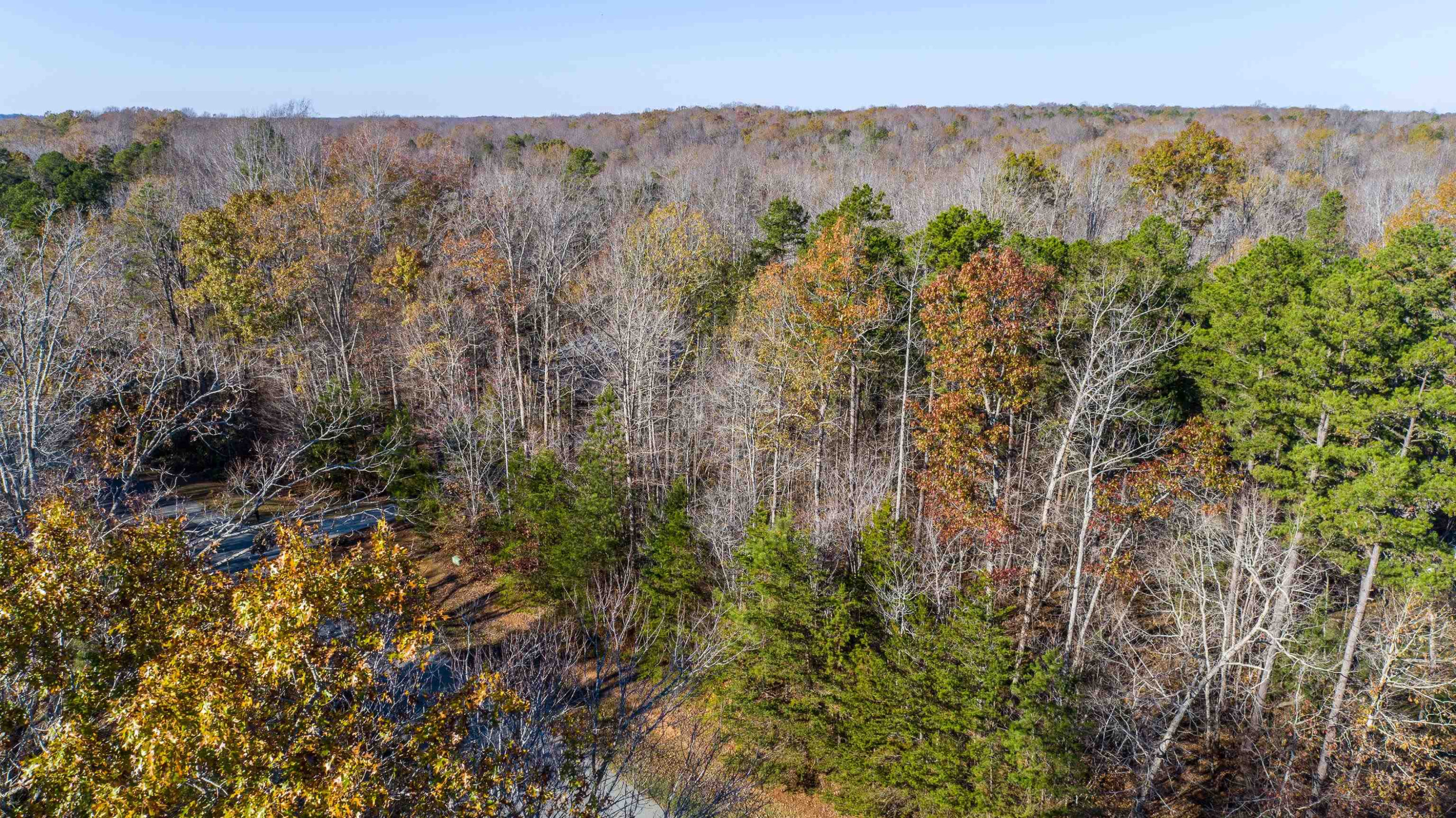 Lot 33 River View Timberlake, NC 27583 - Photo 14 of 18 a view of a bunch of bushes and bushes