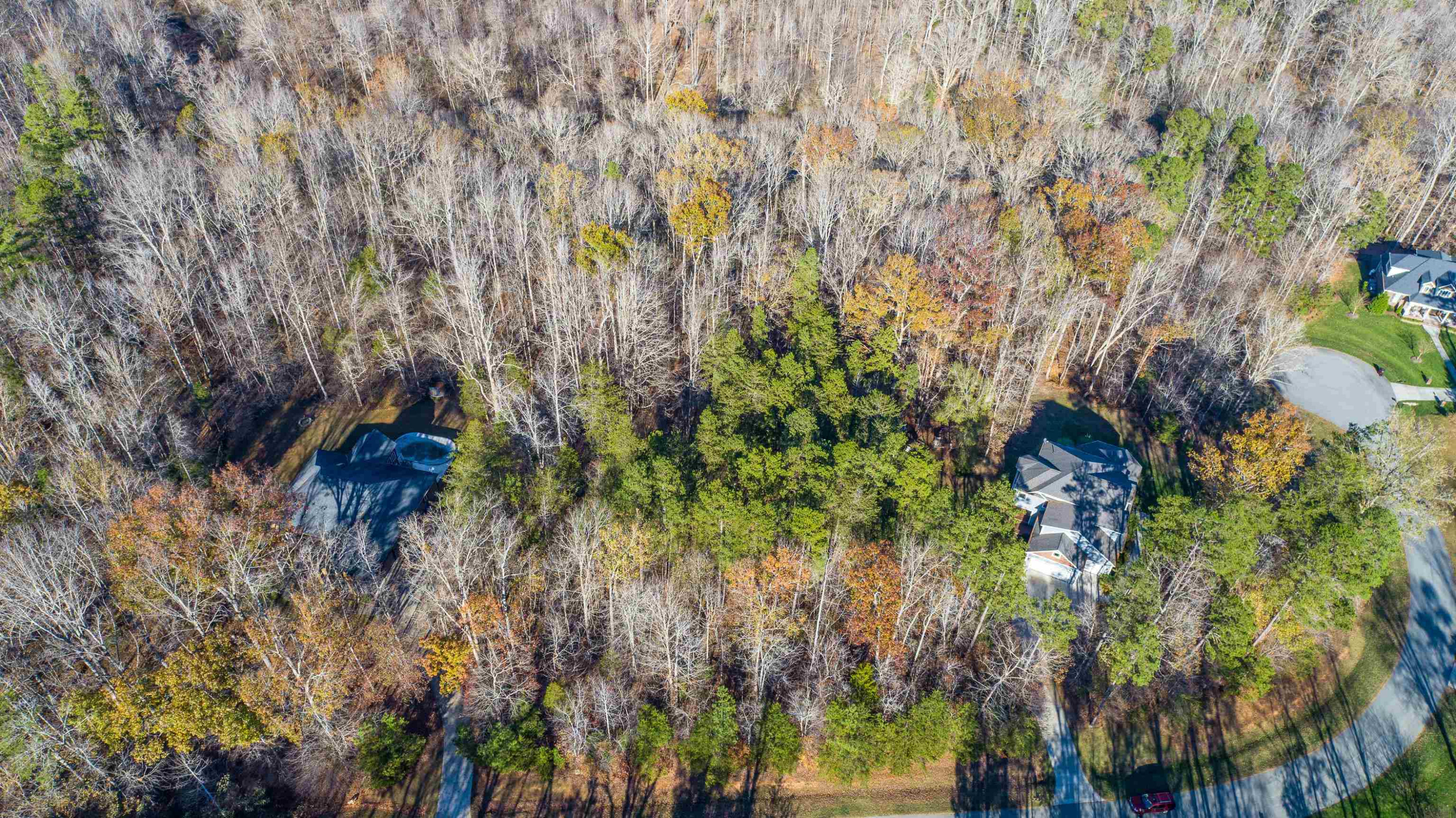 Lot 33 River View Timberlake, NC 27583 - Photo 17 of 18 a view of a tree in a yard