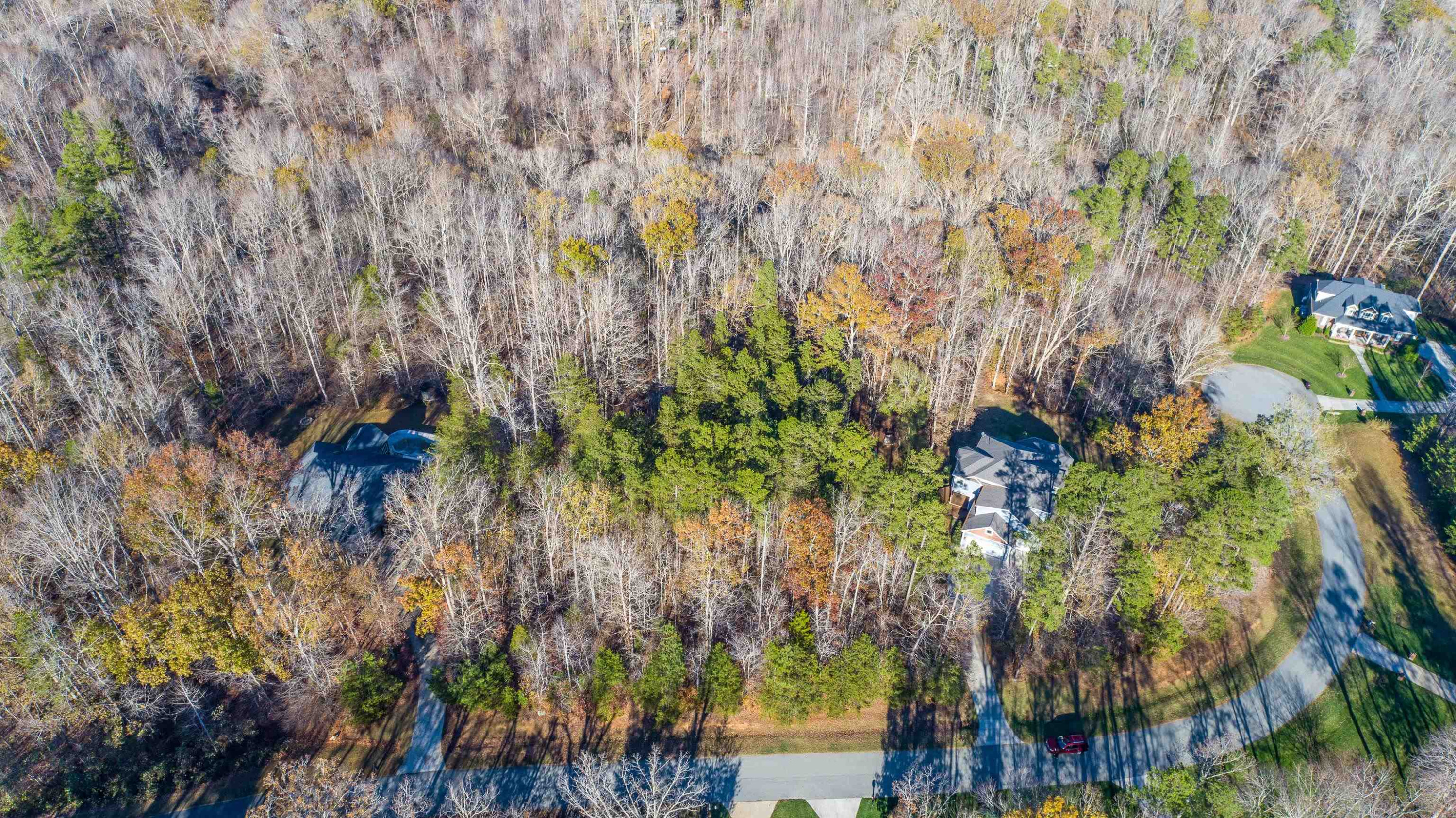 Lot 33 River View Timberlake, NC 27583 - Photo 3 of 18 a close up of a plant in a garden