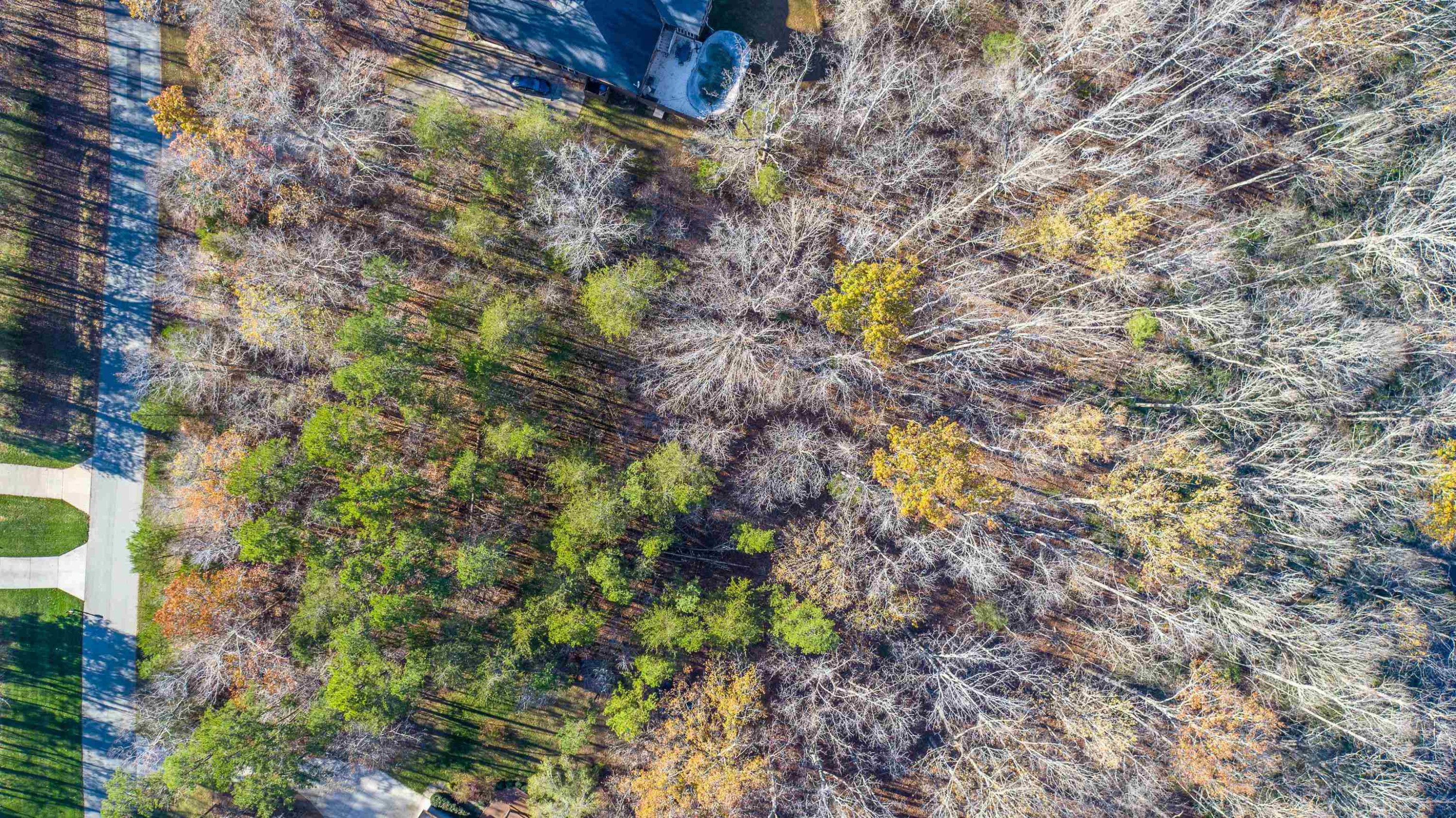 Lot 33 River View Timberlake, NC 27583 - Photo 4 of 18 a plant that is in a yard