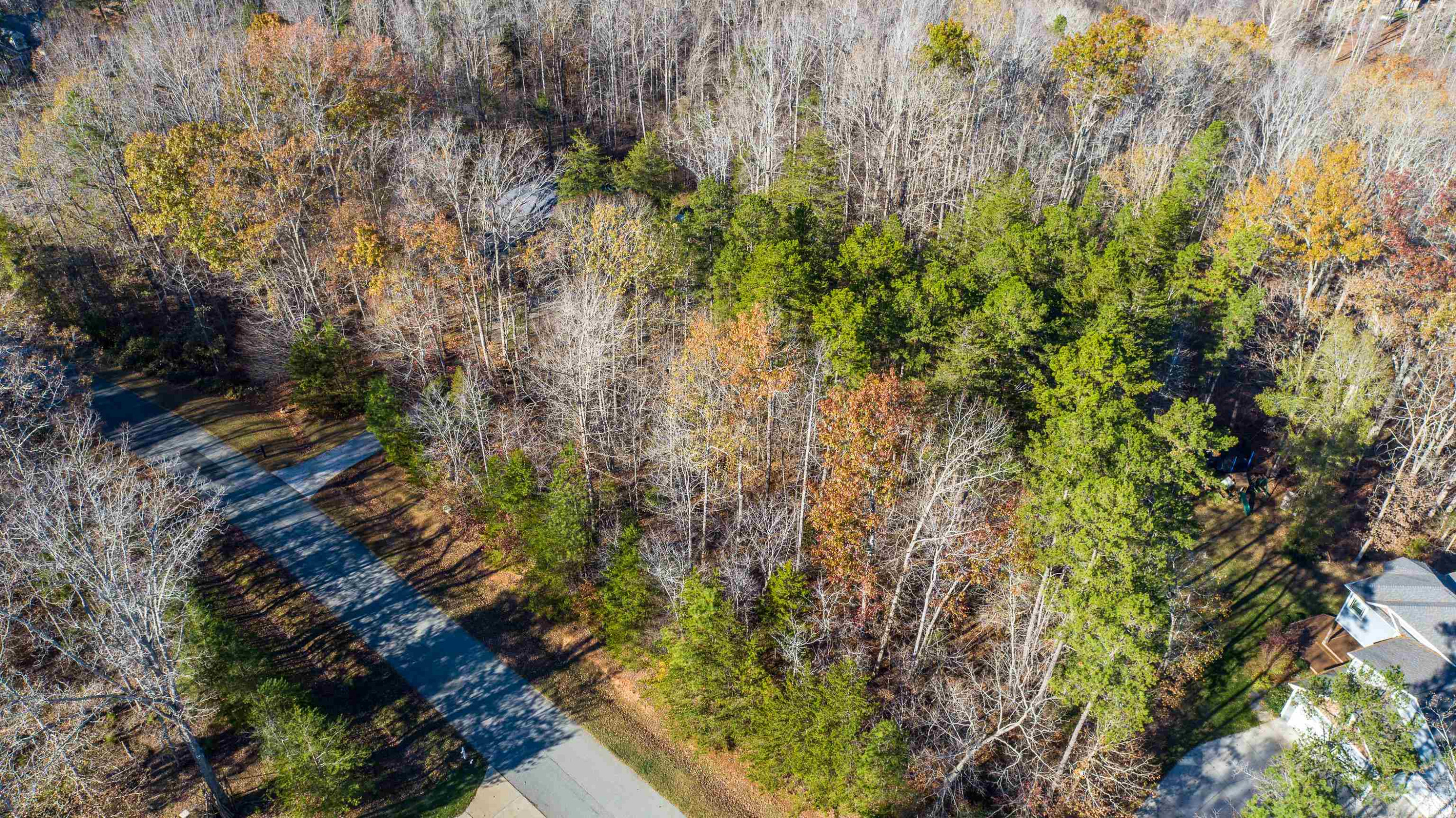 Lot 33 River View Timberlake, NC 27583 - Photo 5 of 18 a view of a tree