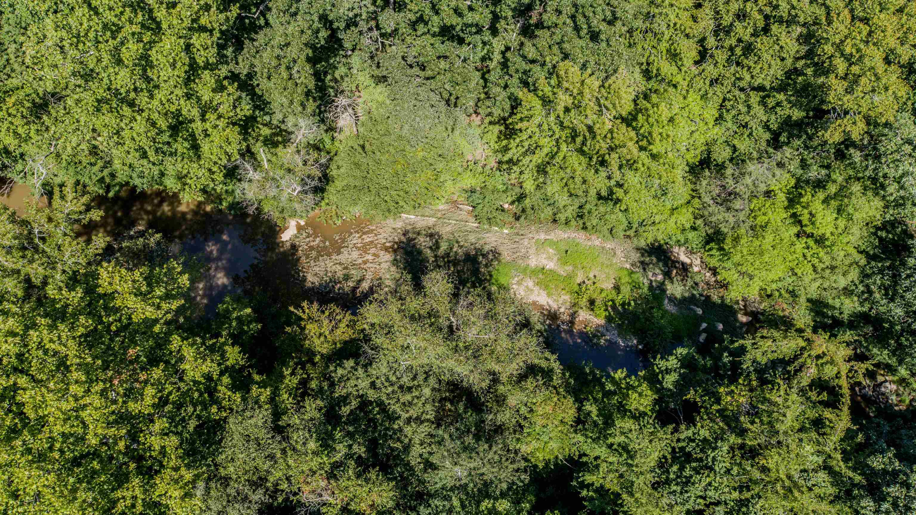 Lot 33 River View Timberlake, NC 27583 - Photo 7 of 18 a view of a yard