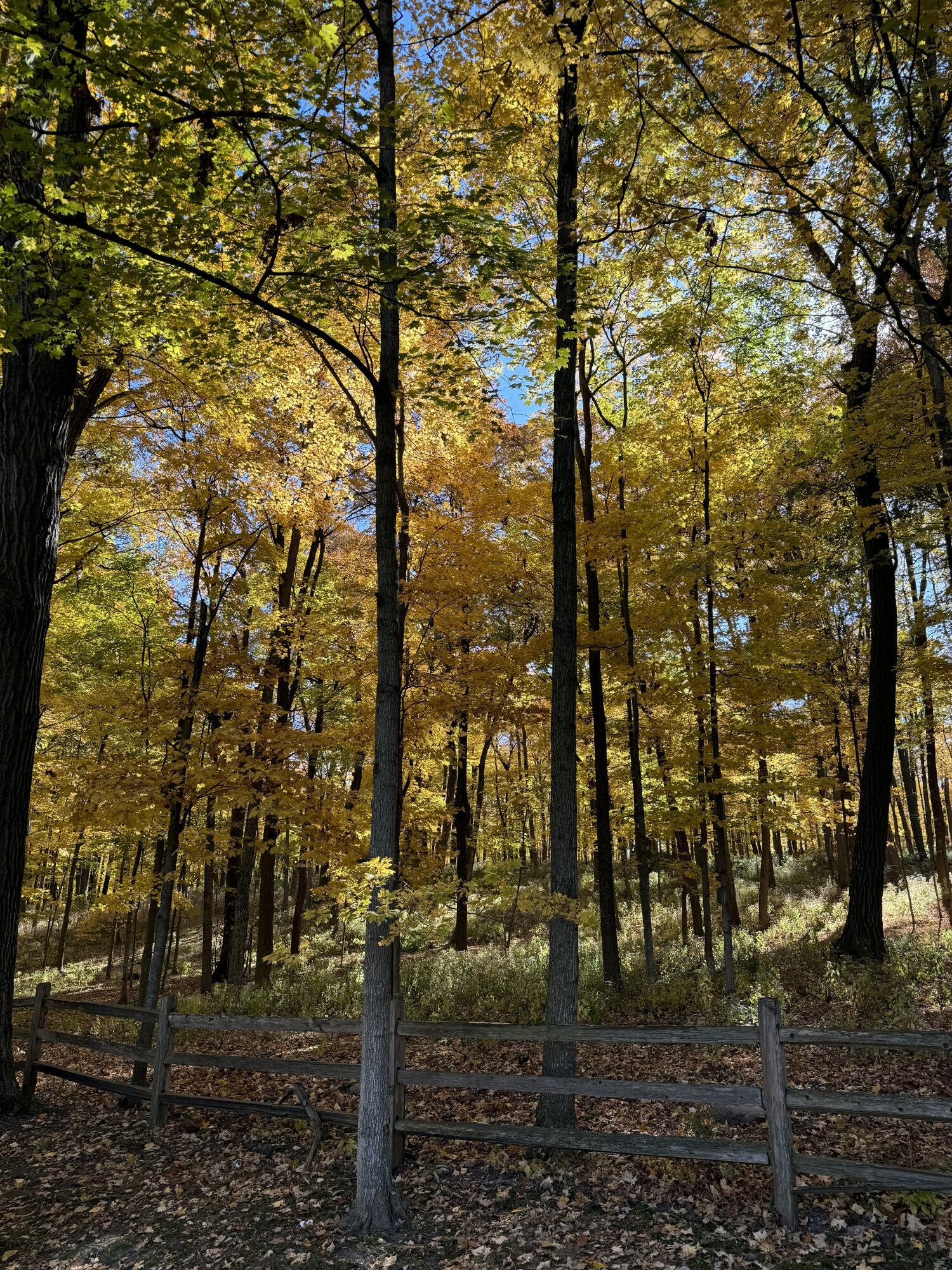 W3650 Snake Road Linn, WI 53147 - Photo 85 of 86 IMG_2460