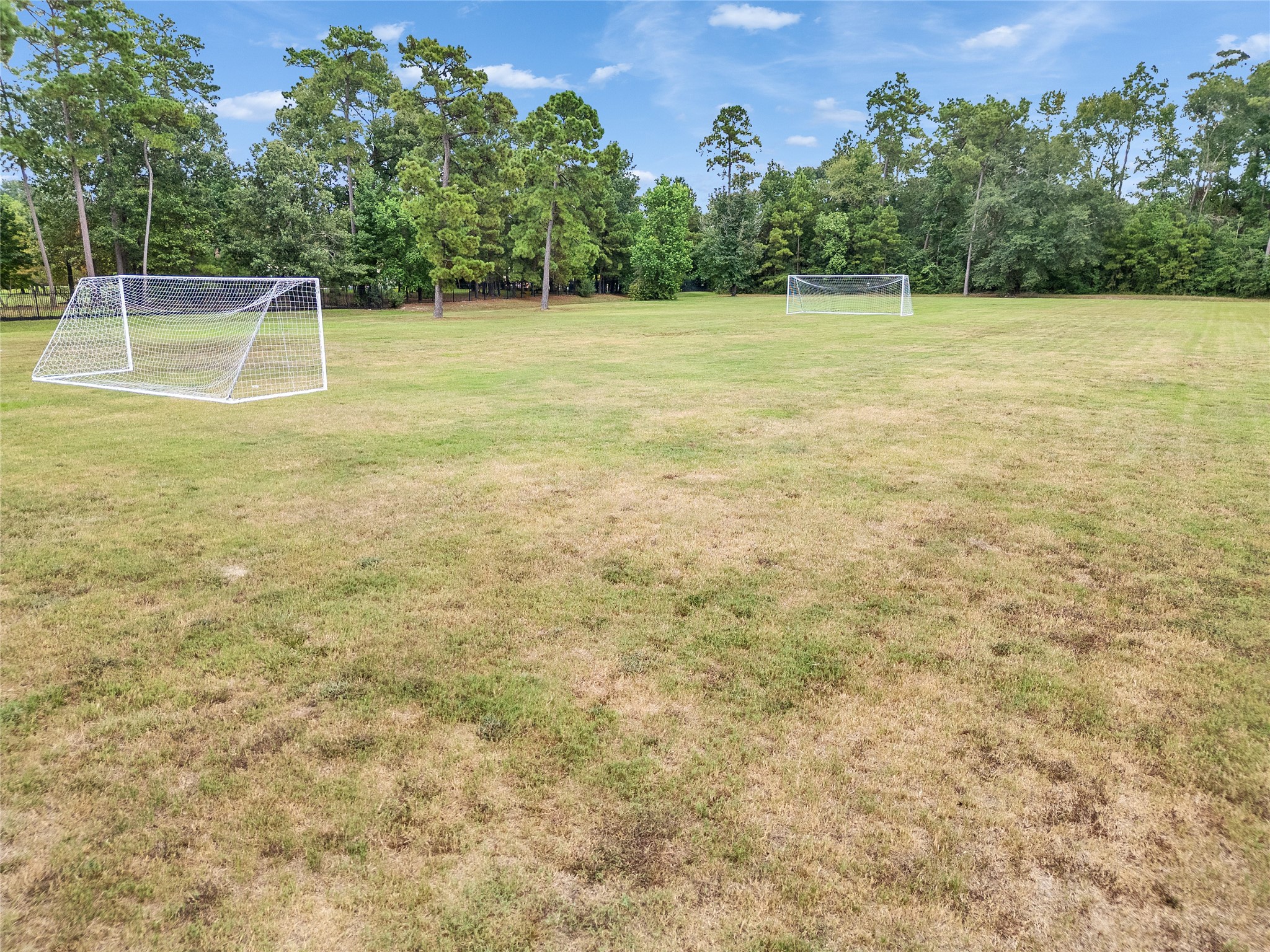 5802 Sunny Sky Place Spring, TX 77386 - Photo 12 of 28 a view of a swimming pool