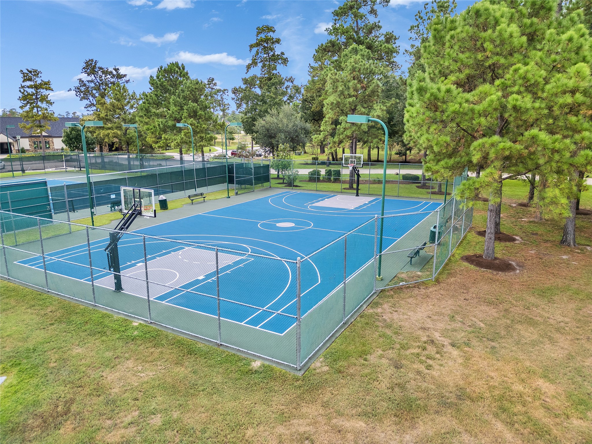 5802 Sunny Sky Place Spring, TX 77386 - Photo 13 of 28 a view of a tennis ground with large trees