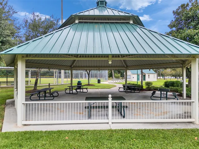 a view of a field with a tree in the background