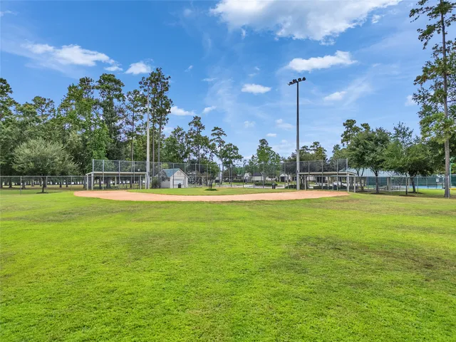 a view of a park with a tree
