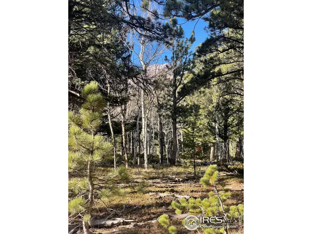 a view of a yard with pathway