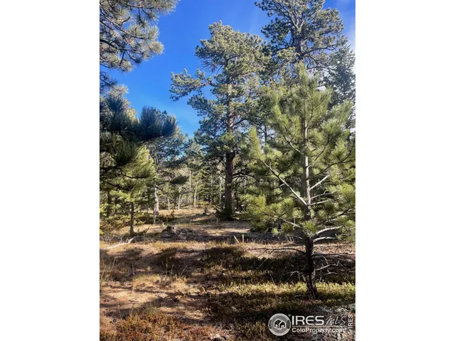 a picture of a door of a building