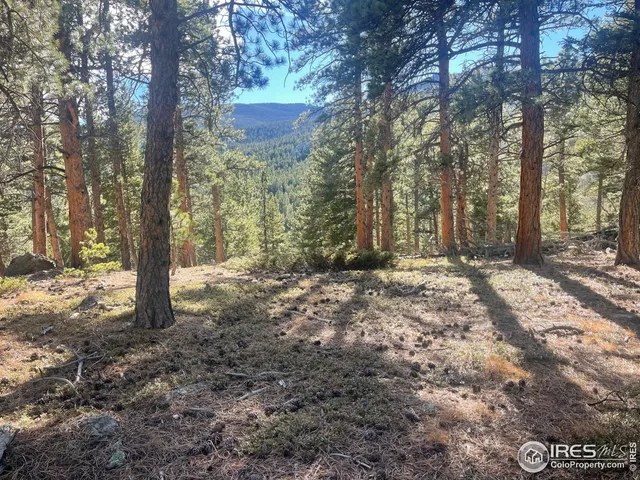 a view of outdoor space with trees