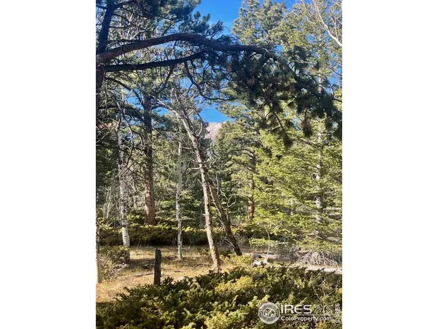 $399,000 | 399 North Skinner Road, Allenspark, CO 80510