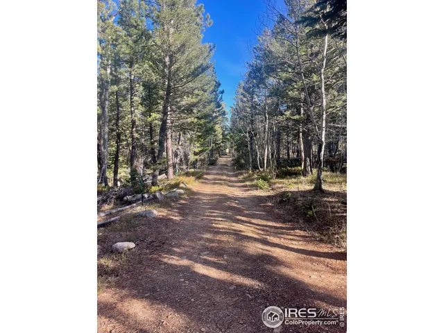 a view of a outdoor space with trees